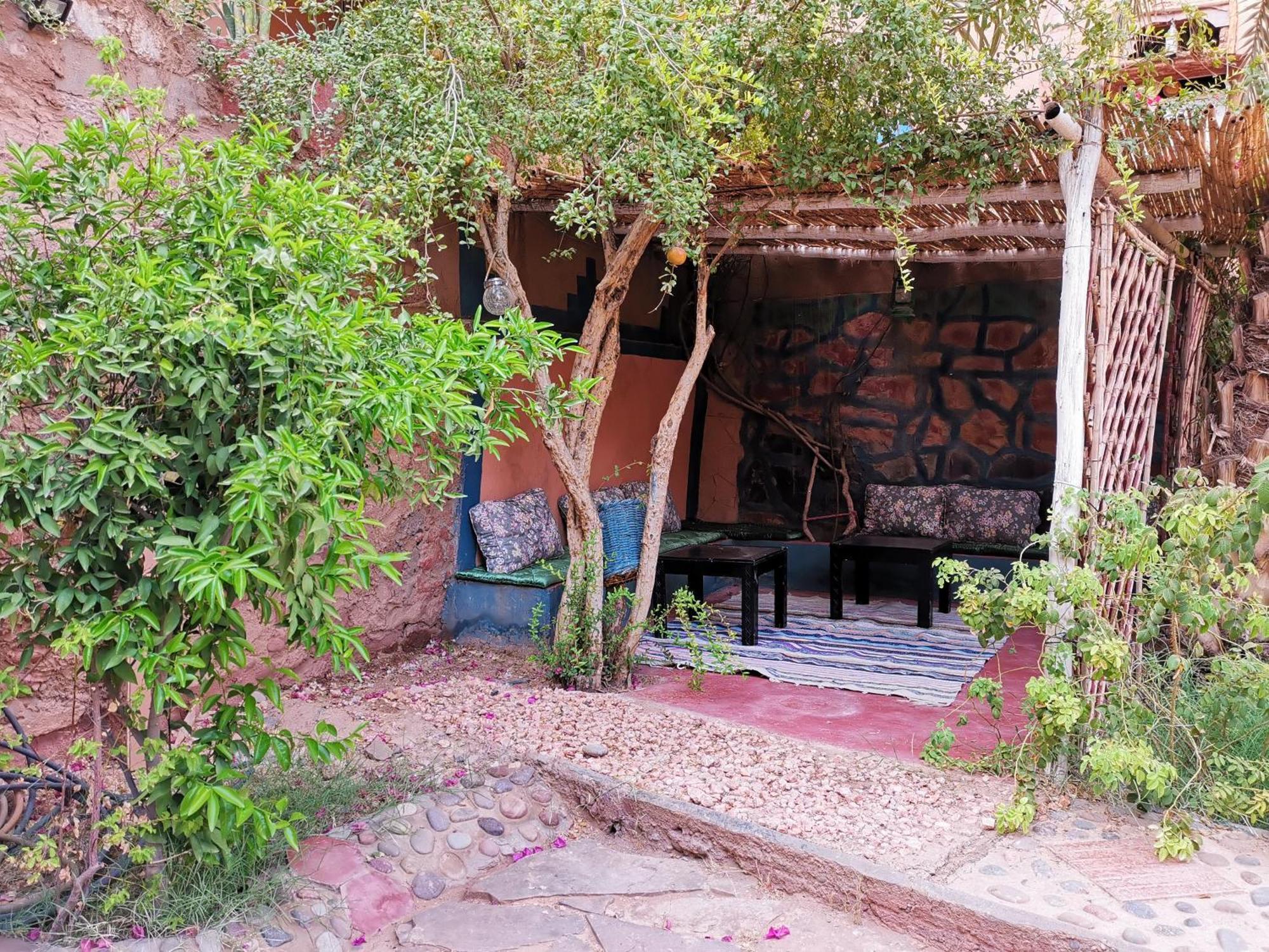 Riad Dar Zaouia ザゴラ エクステリア 写真
